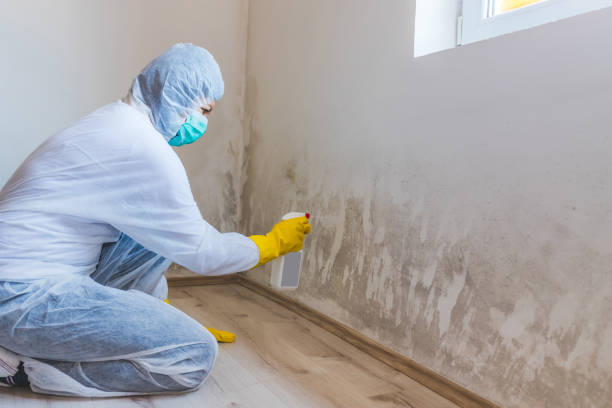 Hvac And Air Duct Mold Remediation inspection of HVAC system in Columbus